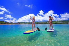 【お題日記】夢はどこまで追いかける？