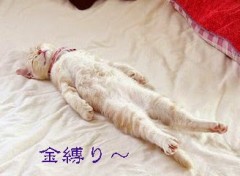 【お題日記】金縛りにあったことある？