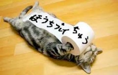 【お題日記】禁欲プレイ