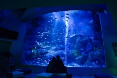 【お題日記】今年ラッキーだったこと