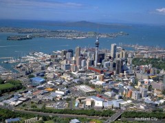 【お題日記】「●●1年分」、何が欲しい？