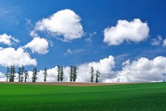 【お題日記】部屋にカレンダー貼ってる？