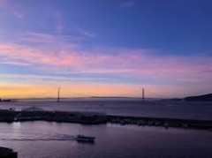 【お題日記】キュンしちゃう動物