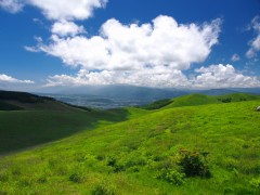 【お題日記】夏前に準備してること