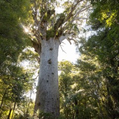【お題日記】ここだけは行ってみたい
