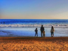 【お題日記】無くしてショックだったもの