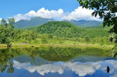 【お題日記】手話できる？