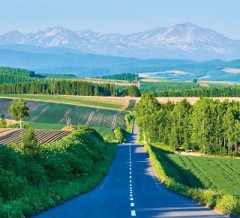 【お題日記】夏になる度思い出すこと