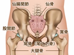 【お題日記】焼肉で好きなお肉