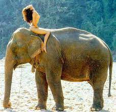 【お題日記】理想のアソコ