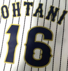 【お題日記】お花見の予定ある？