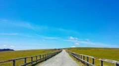 【お題日記】スマートウォッチ使ってる？