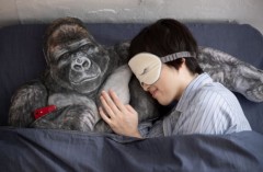 【お題日記】膝枕好き？