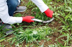 【お題日記】よく使う工具