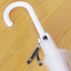 【お題日記】傘持っていかれちゃったことある？