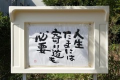 【お題日記】仮病使った事あります…