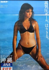 【お題日記】ムラッと来たらとりあえず1人Hする？