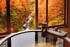 【お題日記】賞味期限は気にしてる？