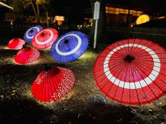 【お題日記】恋人から突然の別れの言葉。何故？