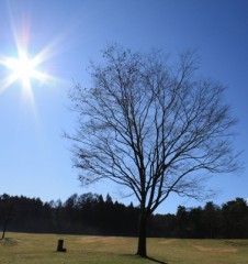 【お題日記】挫折と再挑戦の経験