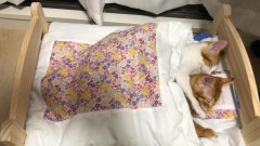 【お題日記】H後に目撃した「驚きの光景」とは？