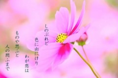 【お題日記】恋したら変わるタイプ？