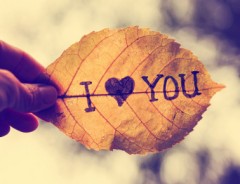 【お題日記】好きになるの早い？