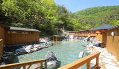 【お題日記】パンダに会ったことある？