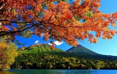 【お題日記】もう住みたくないと思うところ