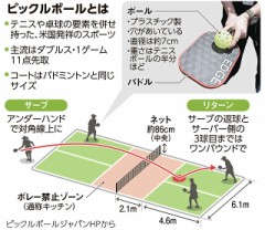 【お題日記】見るけどあまりルール分かってないスポーツ