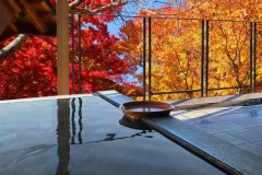 【お題日記】最近行った旅行は？