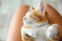 【お題日記】下の毛を染めてみた事ある？