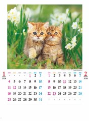 【お題日記】来年のカレンダー買った？