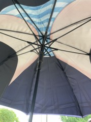 【お題日記】見栄を張っちゃった事ある？