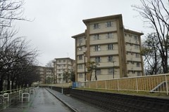 【お題日記】昔住んでたところ見に行った事ある？