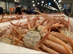 【お題日記】家でカニ食べる？