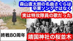 【お題日記】お花見行った？