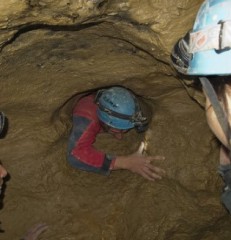 【お題日記】実は怖いものは？