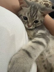 【お題日記】一目惚れって信じる？