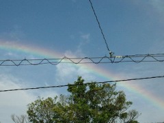 台風一過。。。