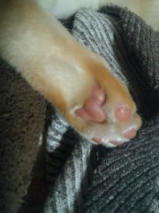 これ何だ。。。?？？。