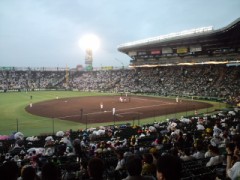 昨日、阪神楽天戦行きました！