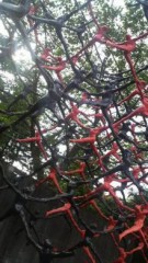 【お題日記】あなたが感じる日本の良さは？