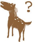 【お題日記】どんなメールがエロく感じますか？