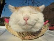 今日は何の日？？ふっふ～♪