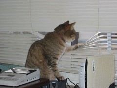 ぐち