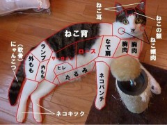【お題日記】エッチのときに汗をどのくらいかきますか？