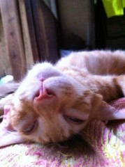 【お題日記】婚活って内緒でしたい？