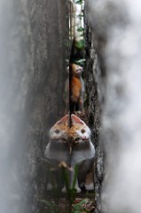 【お題日記】本当はエロくないけどエロく聞こえる言葉