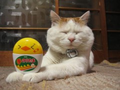 【お題日記】縛りたい？縛られたい？